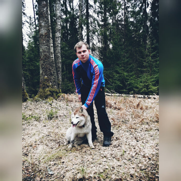 ���� 25508268 ������� �������, 31 ���, ���� ���������� � �����-����������