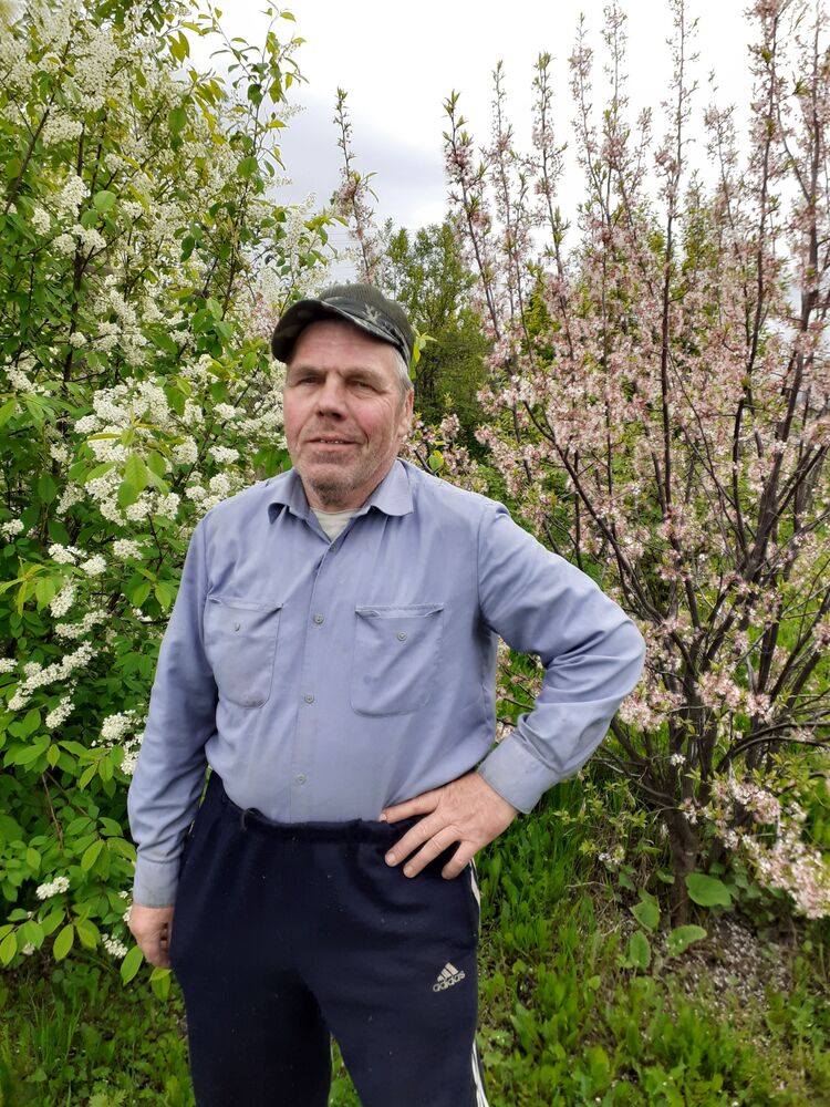 ���� 33575518 ������� ����, 30 ���, ���� ���������� � ������