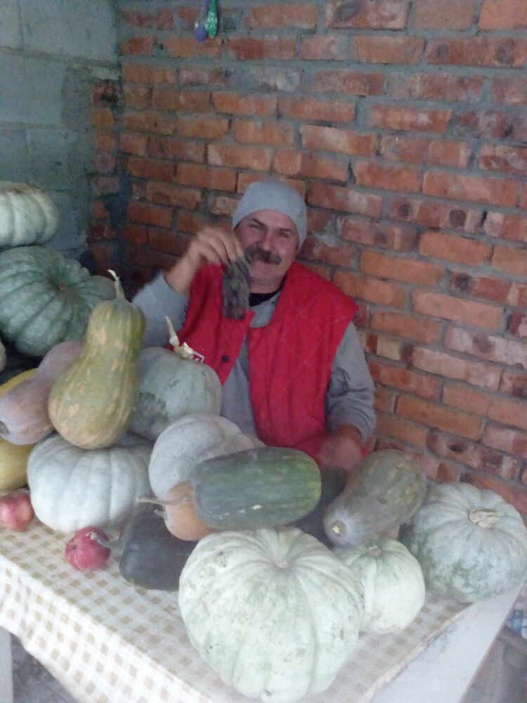 ���� 8159788 ������� ������, 62 ����, ���� ���������� � ����������