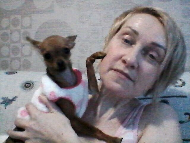  ,    , 53 ,   c 