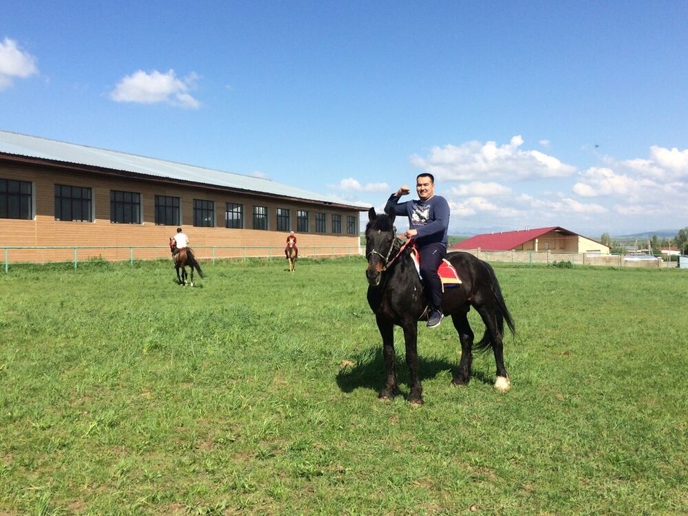 ���� 17684688 ������� Y S, 31 ���, ���� ���������� � ������