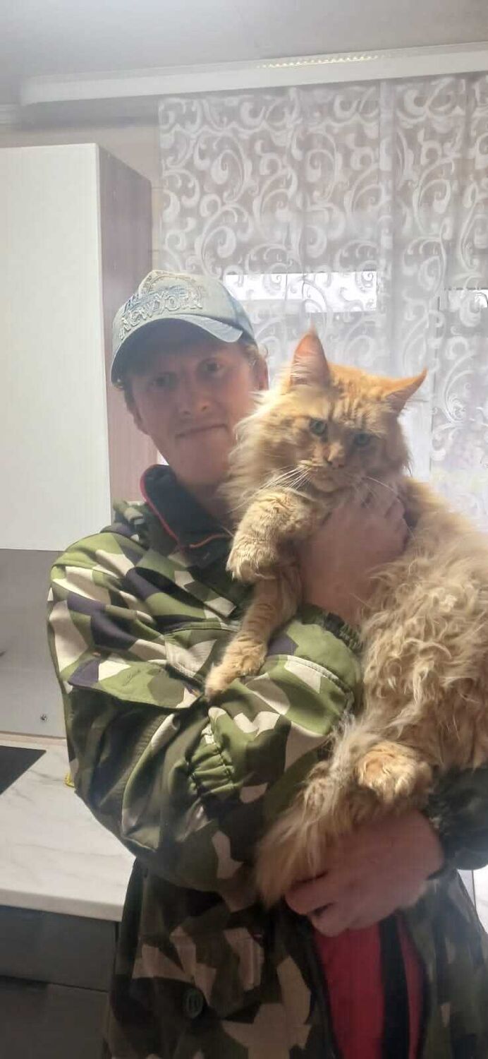  54616588  Igor, 33 ,    