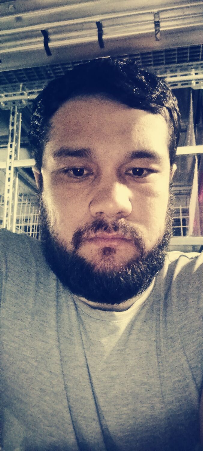  45588448  , 31 ,    