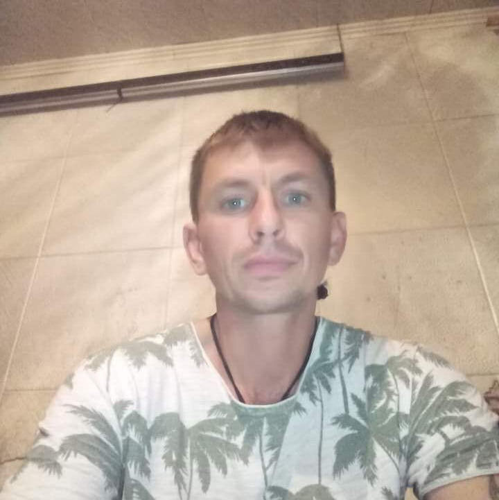  33834408  , 40 ,    