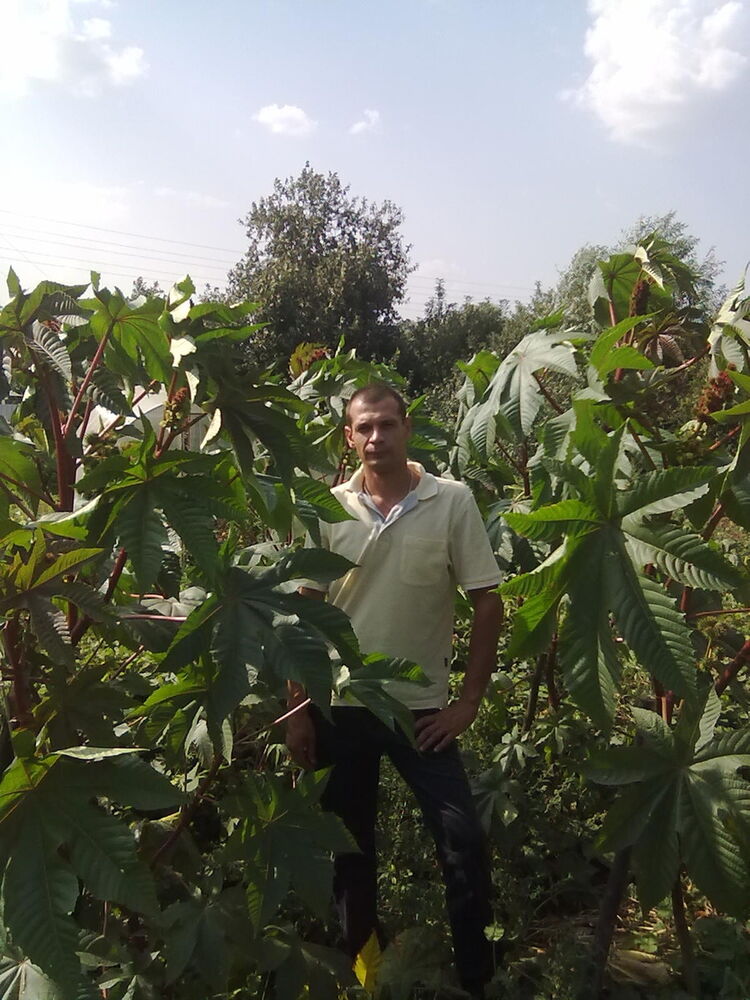  8028028  Vladimir, 51 ,     