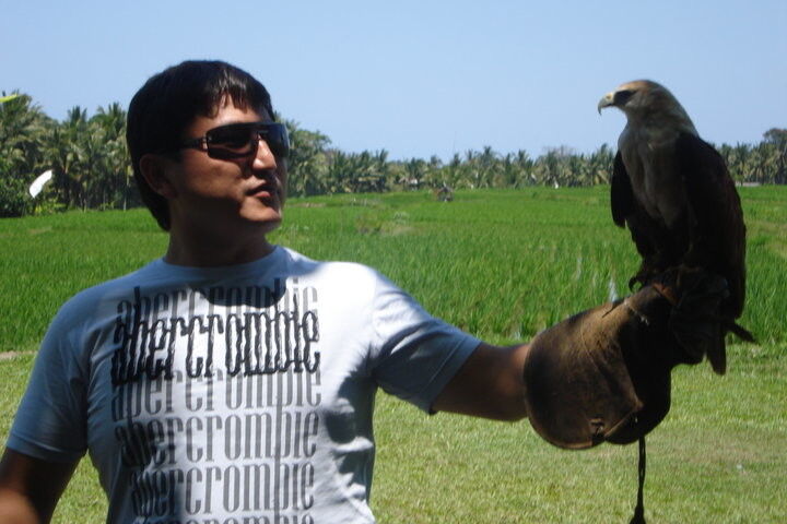 ���������� ������, ���� ������� �����, 43 ����, ������������ ��� ������