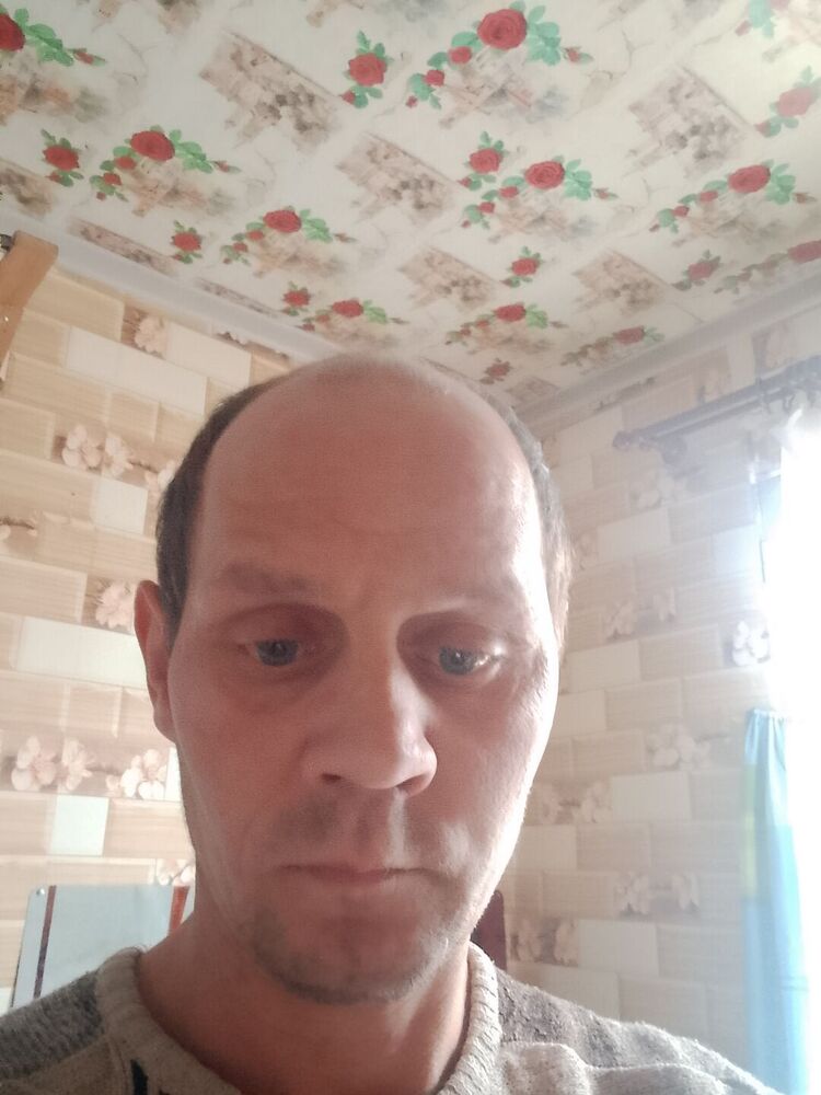  43335088  , 43 ,    