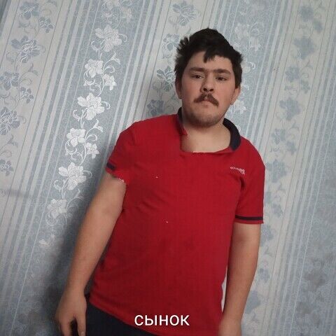  29901368  , 31 ,    