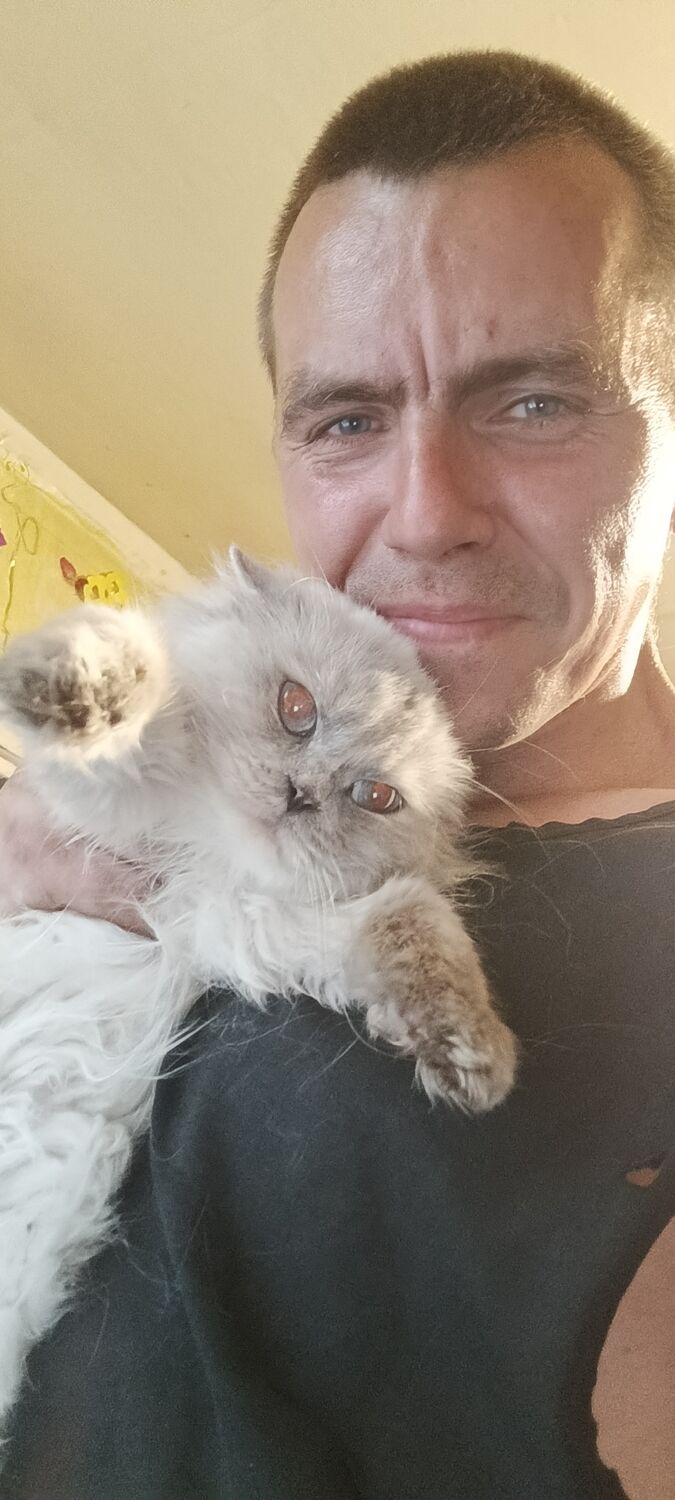 ���������� �����, ���� ������� ���������, 37 ���, ������������ ��� ����� � ���������, c�������� ���������