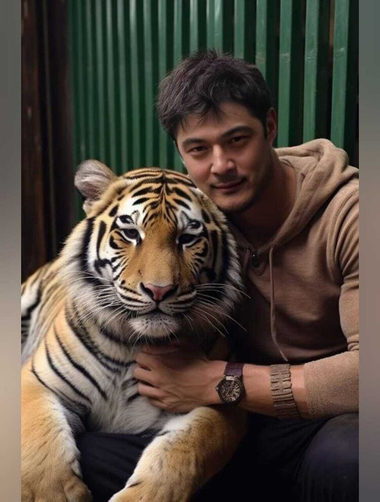  54163128  , 43 ,    -