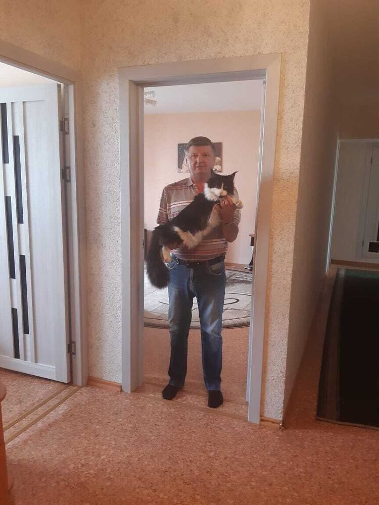  51104398  , 61 ,    