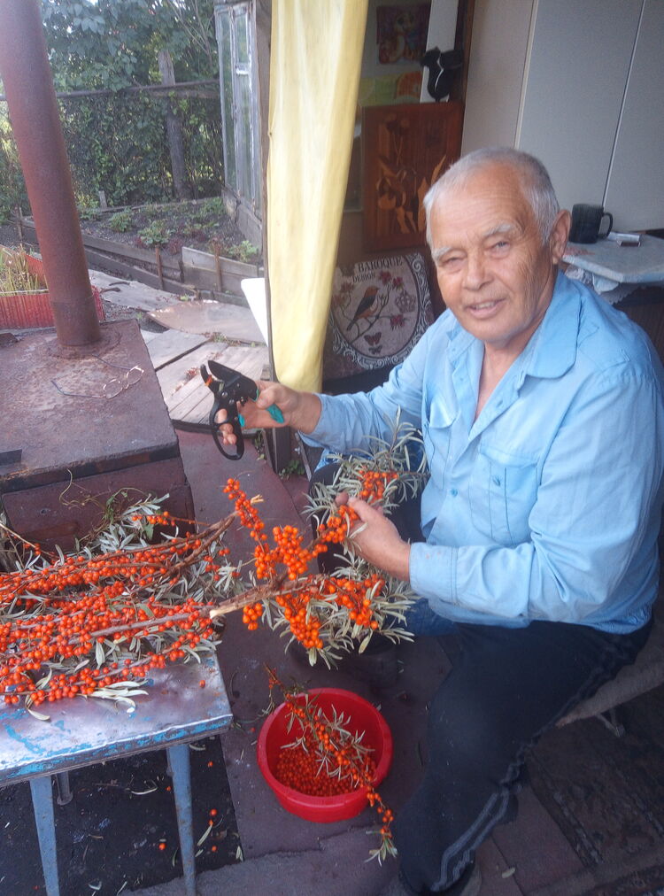 ���� 55186218 ������� ���������, 68 ���, ���� ���������� � ��������