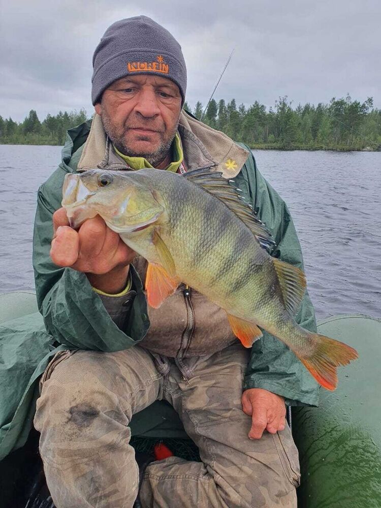 ���������� ������, ���� ������� ������, 61 ���, ������������ ��� ������, ����� � ���������, c�������� ���������