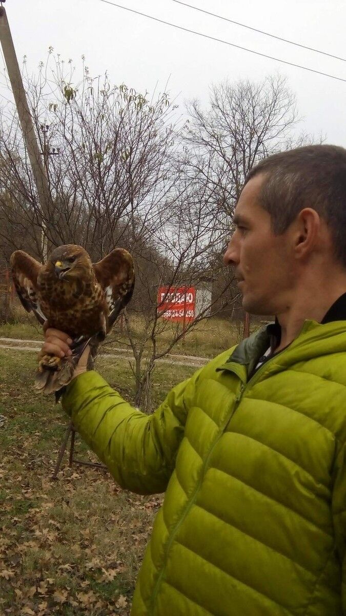 ���� 15713798 ������� ������, 41 ���, ���� ���������� � ����������