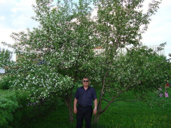   ,   , 66 ,  