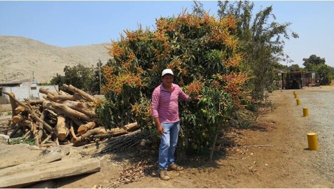  Salaverry,   Vidal, 66 ,   ,   