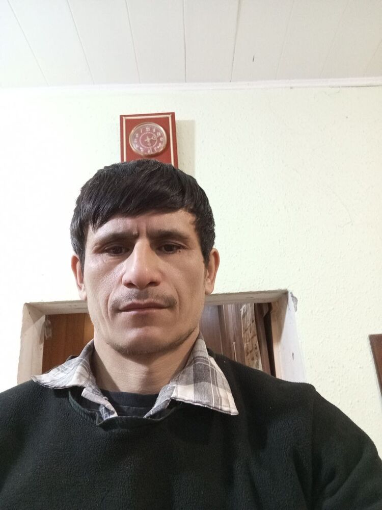 49638668  , 35 ,    