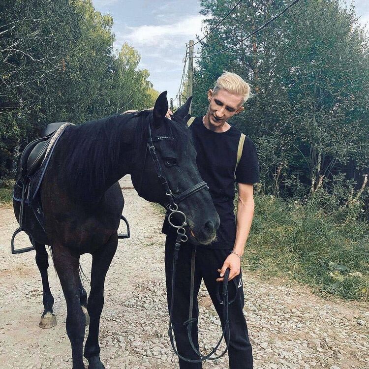 ���� 36030058 ������� �������, 29 ���, ���� ���������� � �������������