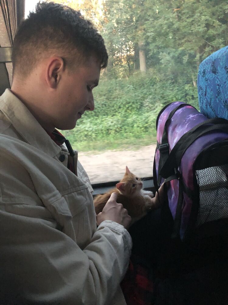 ���������� �����-���������, ���� ������� ������, 26 ���, ������������ ��� ������, ����� � ���������, ���������