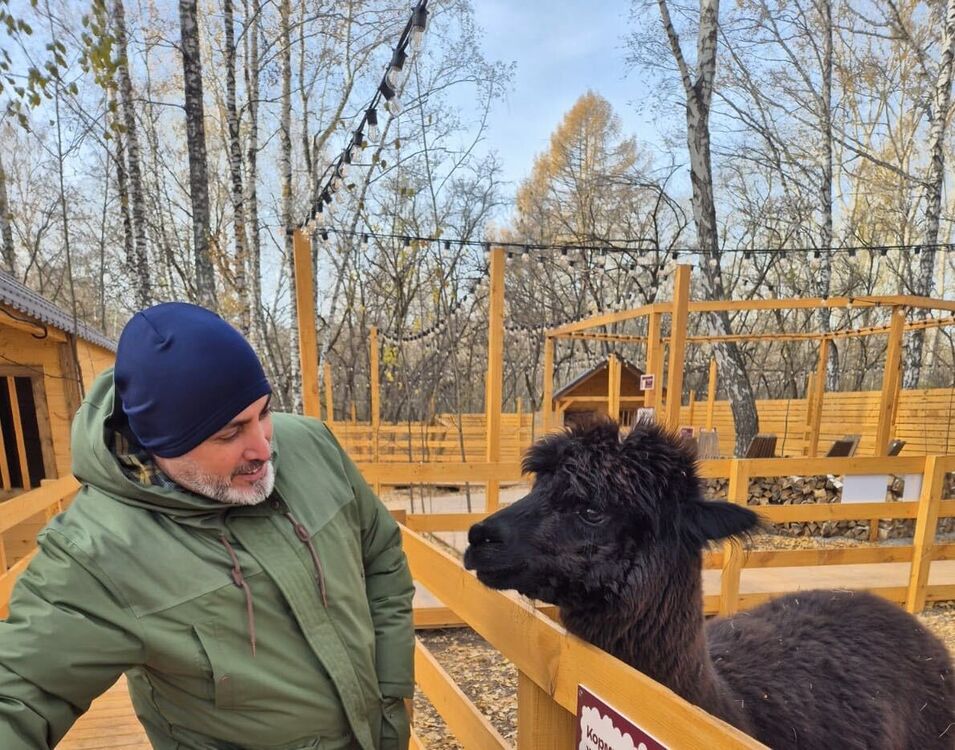 ���� 55506098 ������� �����, 44 ����, ���� ���������� � ����������