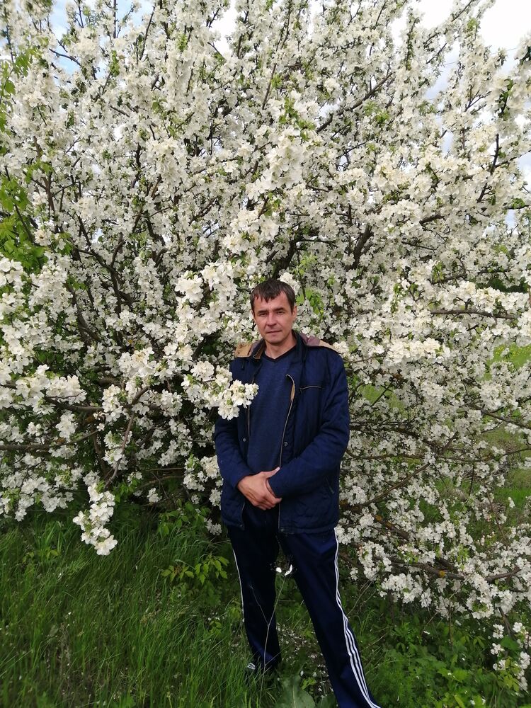 ���� 25943378 ������� ���������, 44 ����, ���� ���������� � ������