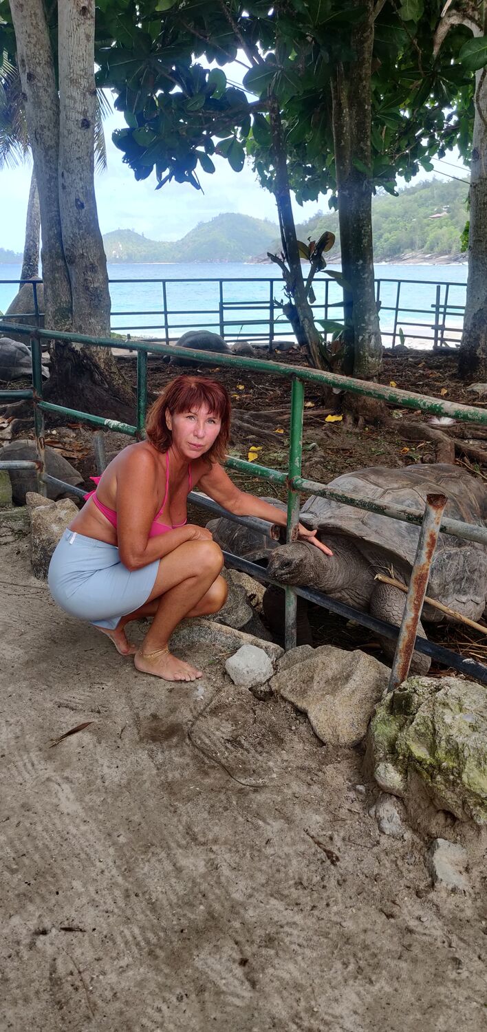 ���������� ������, ���� ������� ������, 65 ���, ������������ ��� ����� � ���������, c�������� ���������