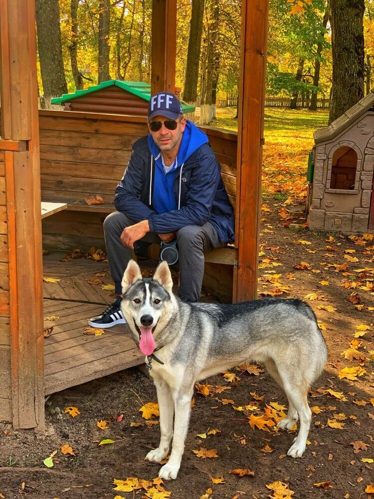 ���������� �����, ���� ������� �������, 51 ���, ������������ ��� ������, ����� � ���������