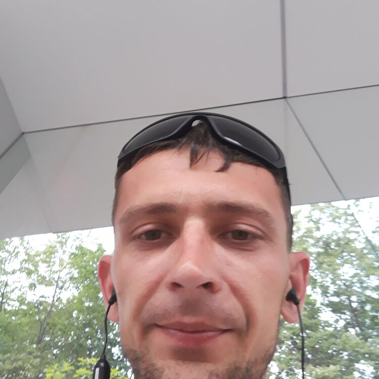  35081768  , 39 ,    
