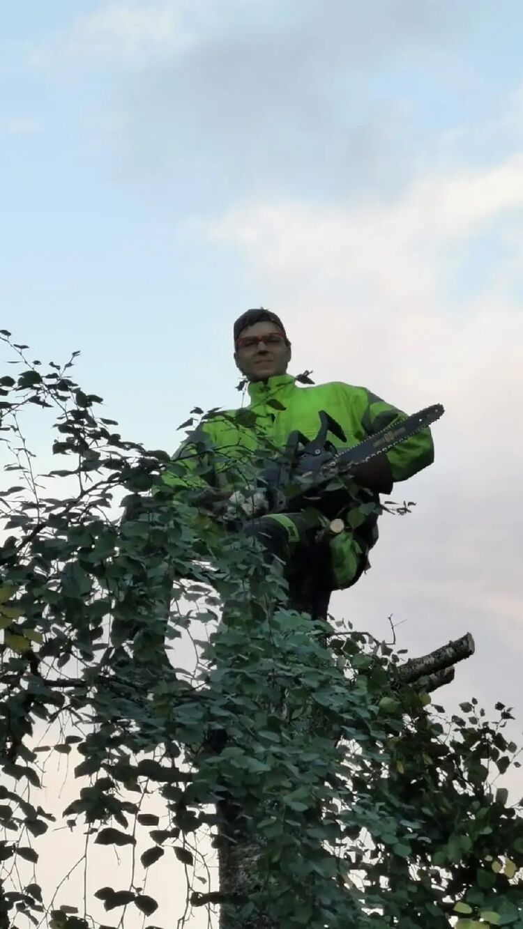 ���� 37053568 ������� DuPu Ankka, 29 ���, ���� ���������� � ������