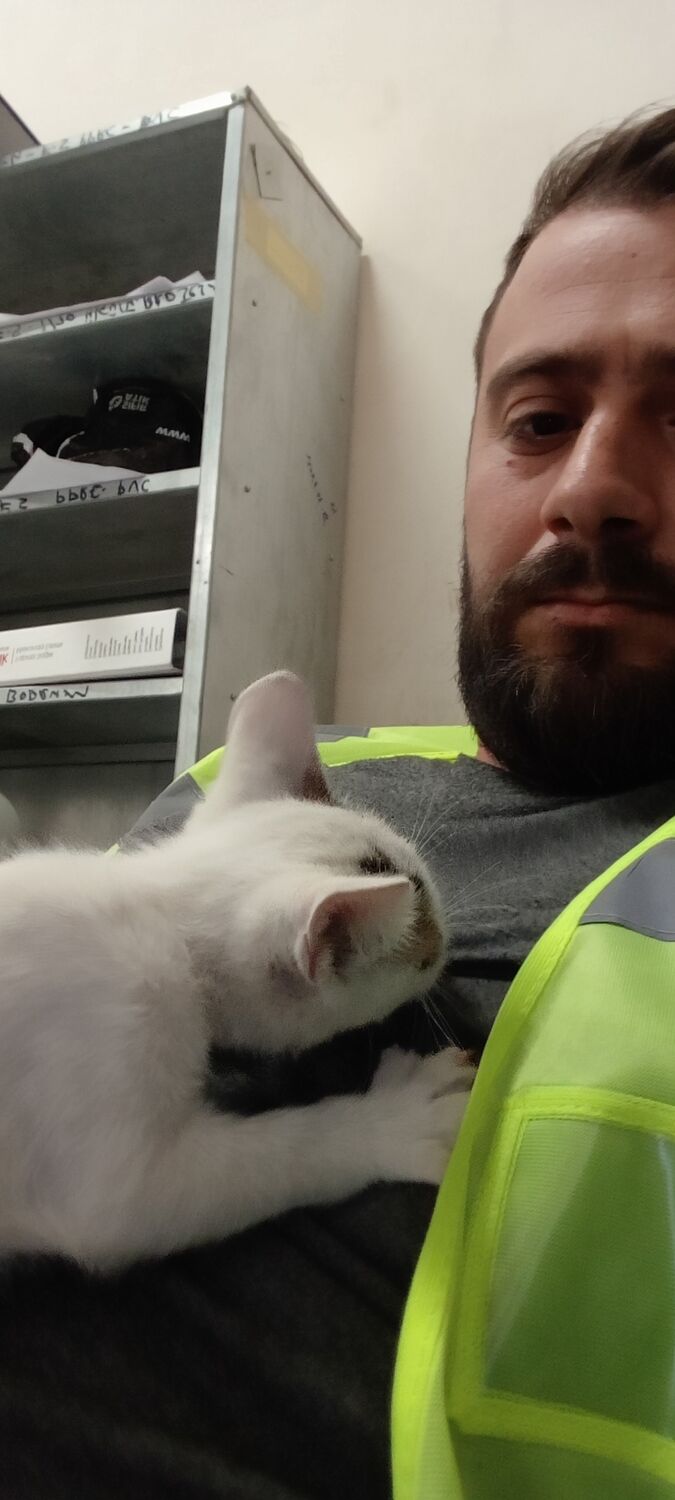  ,   Ozan tekin, 31 ,   ,   