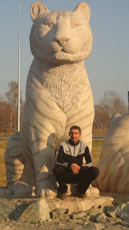 ���������� �����������, ���� ������� ��������, 41 ���, ������������ ��� ������