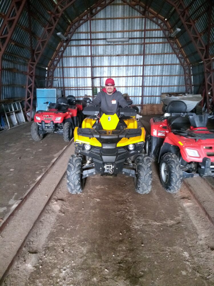  31993168  , 44 ,    