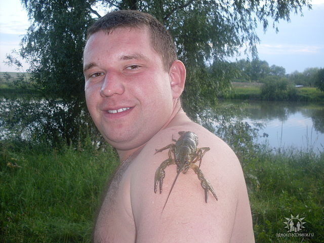 ���������� �����, ���� ������� ������, 41 ���, ������������ ��� ������, ����� � ���������, c�������� ���������