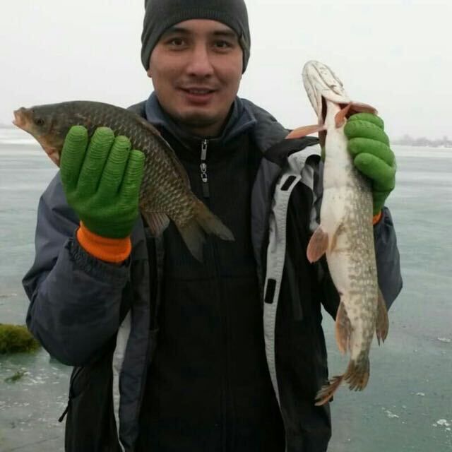 ���������� ������, ���� ������� Aza, 43 ����, ������������ ��� ������, ����� � ���������