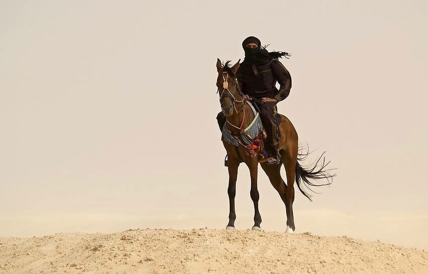 ���������� ����, ���� ������� �����, 48 ���, ������������ ��� ����� � ���������, c�������� ���������