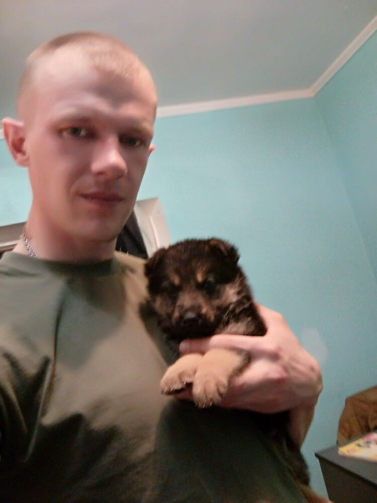  9408488  Vova, 38 ,    