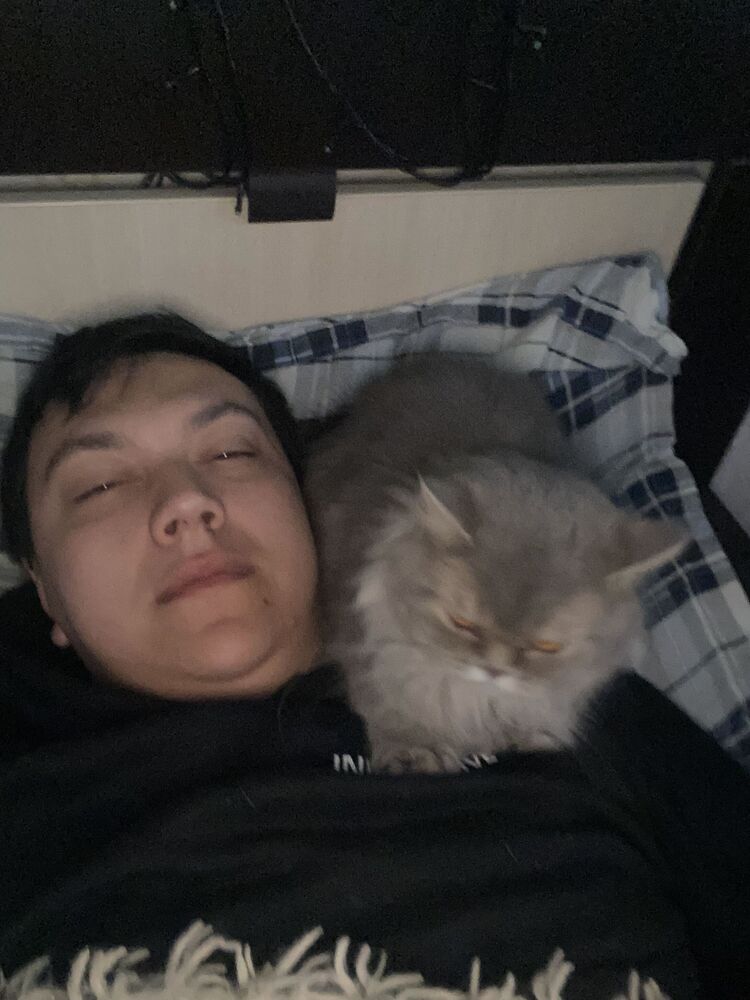 ���������� ������, ���� ������� �������, 31 ���, ������������ ��� ������, ����� � ���������