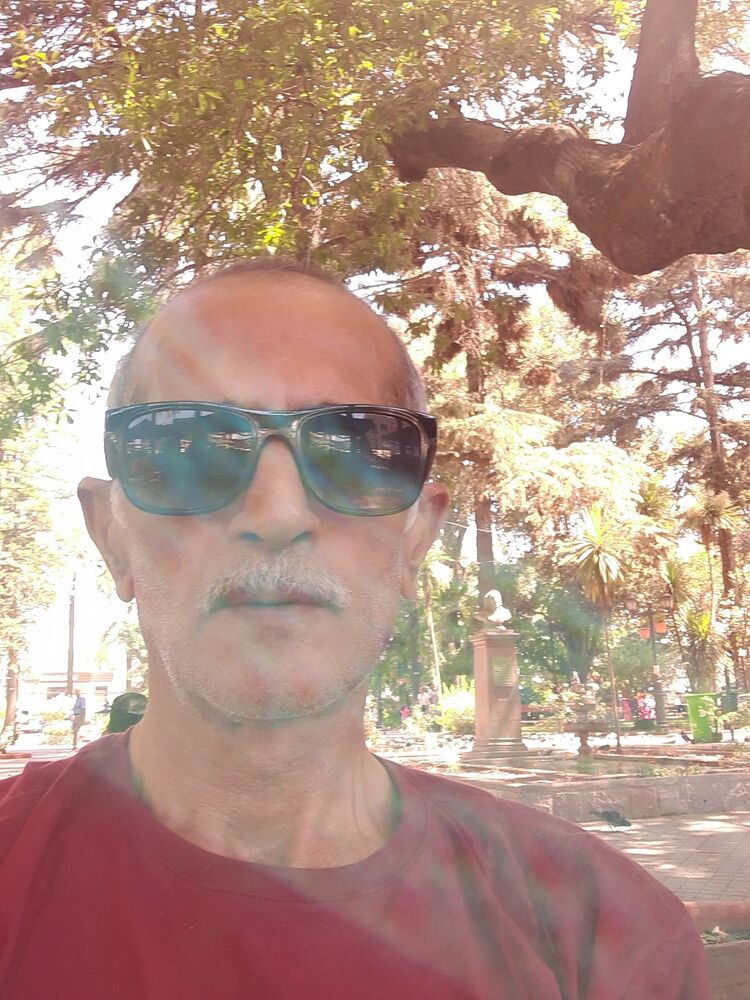  31352898  , 61 ,    Curico