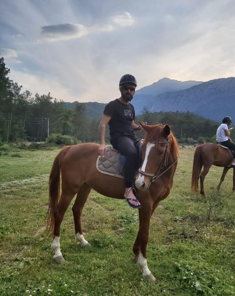  29239248  , 33 ,    -