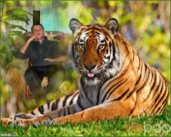  1358388  Vadim, 37 ,    