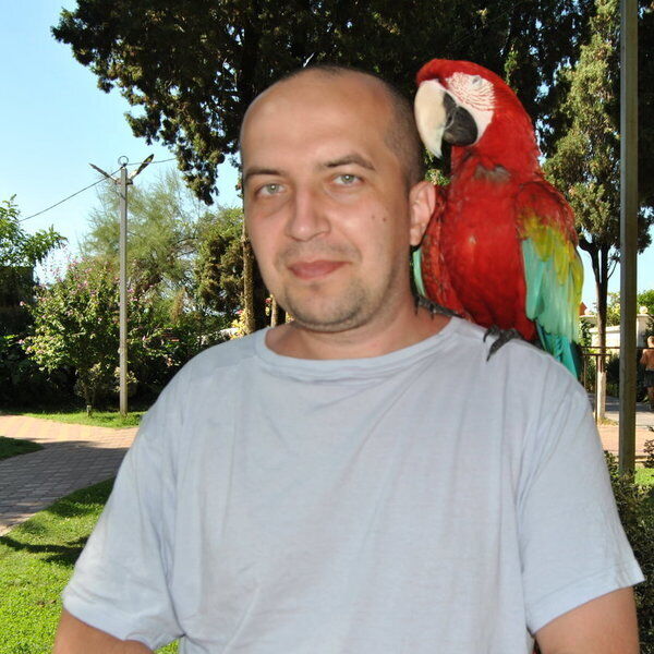 ���� 24676568 ������� ����, 40 ���, ���� ���������� � ����