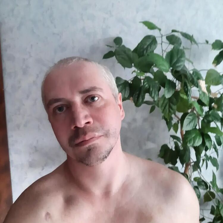  33890318  , 44 ,    