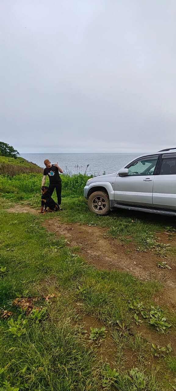 ���������� �����������, ���� ������� ������, 36 ���, ������������ ��� ������, ����� � ���������, c�������� ���������, ���������