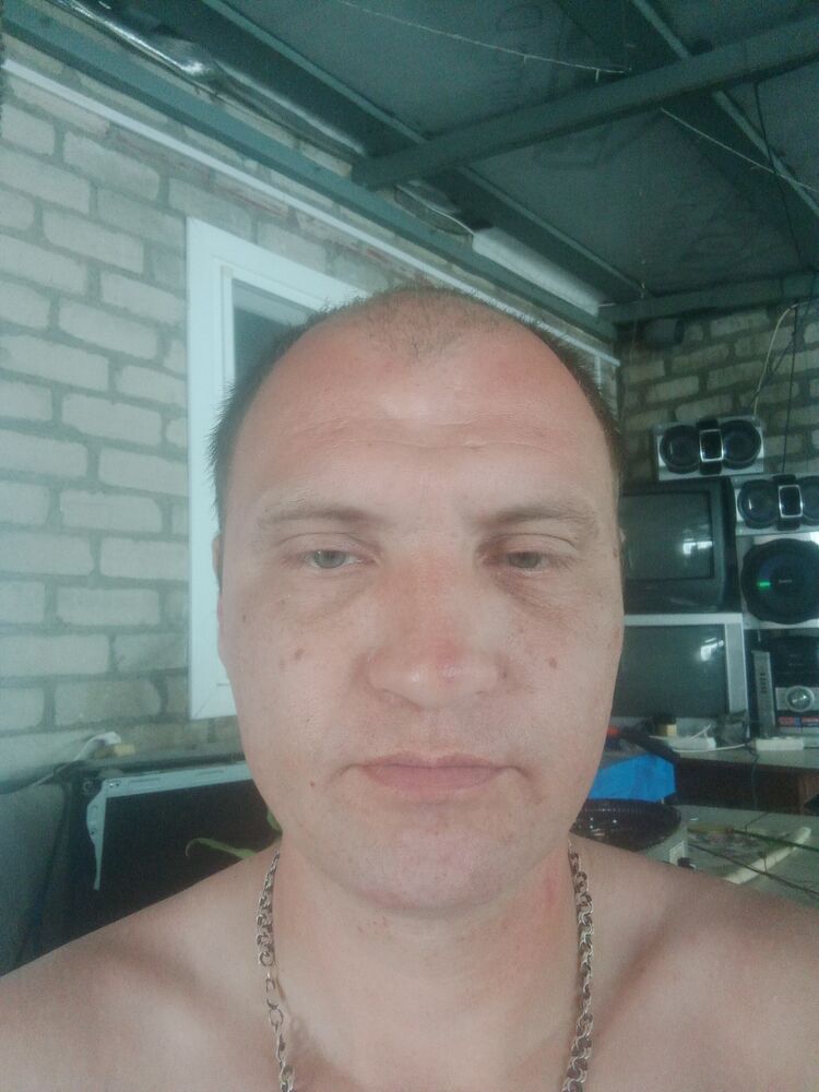  53013748  , 38 ,    