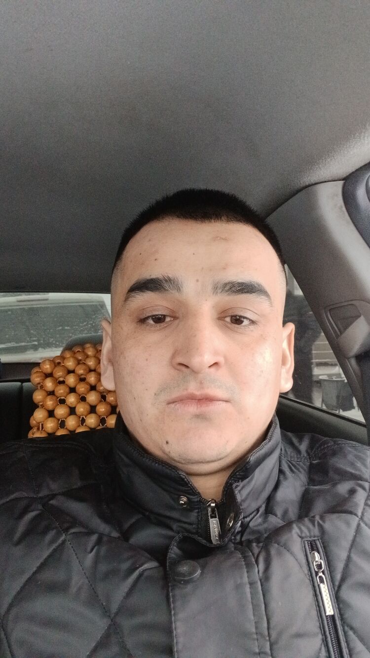 ���� 56014508 ������� ����, 29 ���, ���� ���������� � ��������