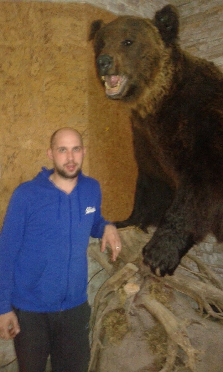   ,   , 38 ,   