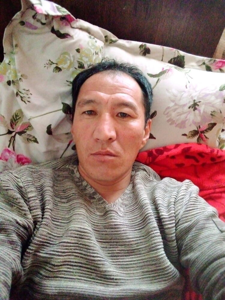 ���� 19560788 ������� �������, 44 ����, ���� ���������� � ������