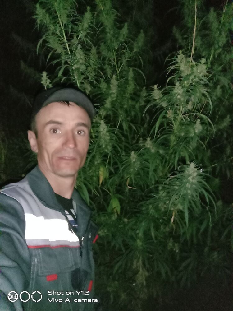 ���� 39111368 ������� ���� �����, 38 ���, ���� ���������� � ��������