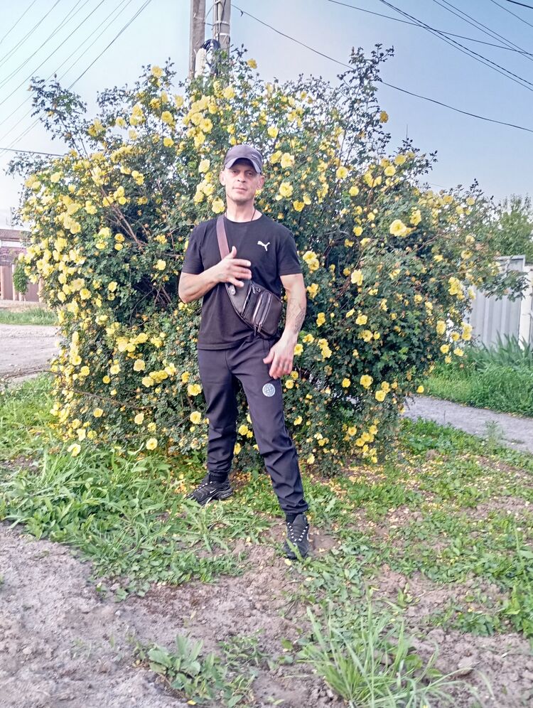 ���� 55039758 ������� �����, 46 ���, ���� ���������� � �������