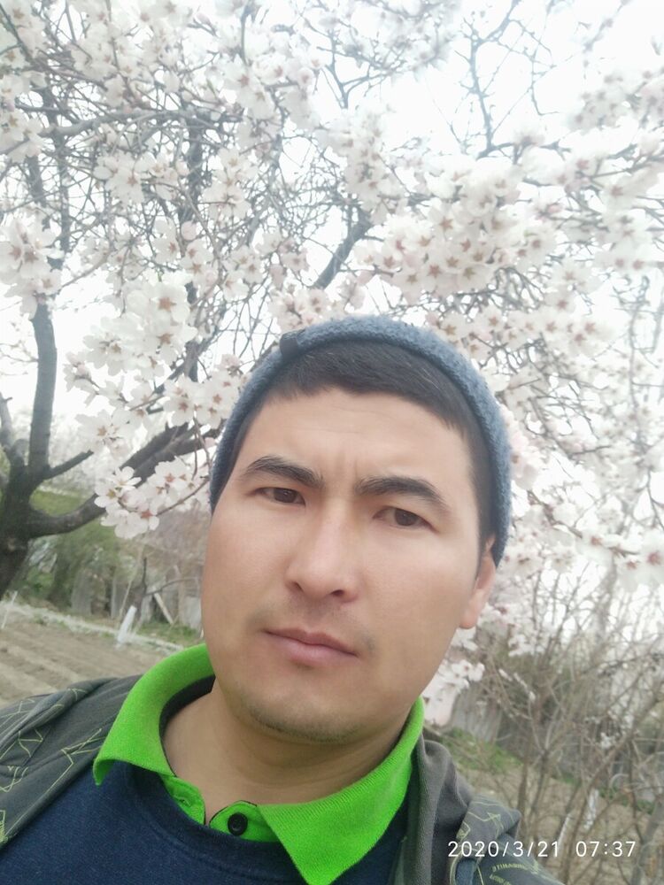 ���� 20408728 ������� �����, 35 ���, ���� ���������� � ���